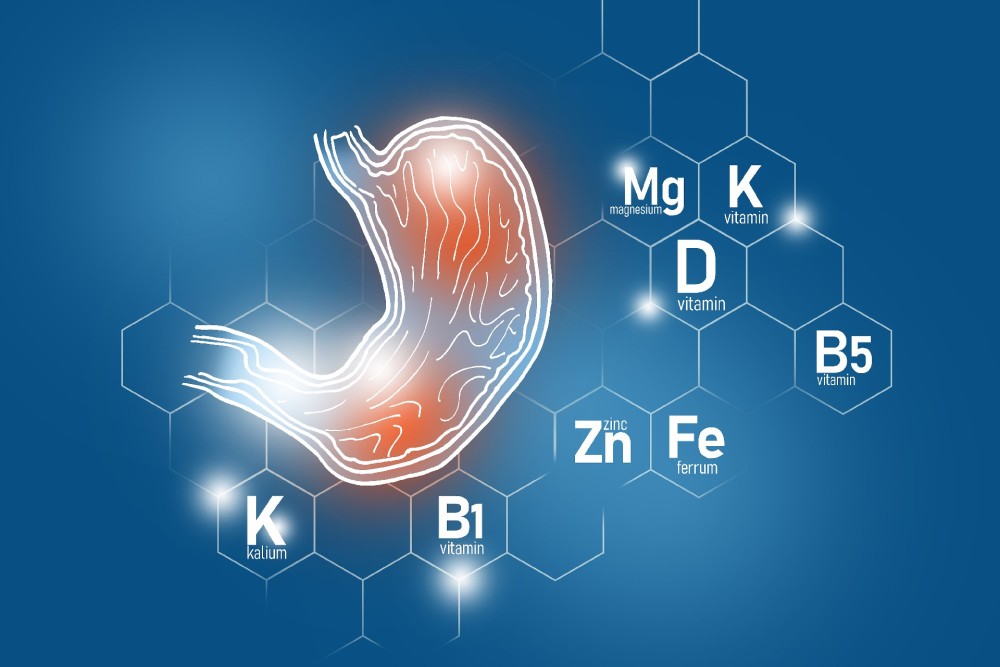 1757295540933832.jpg 花瓣素材_胃健康的必需营养素包括锌、钾、维生素B5、铁。_154231469.jpg